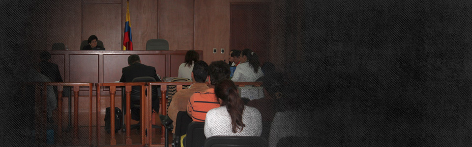 Persiguiendo a los máximos responsables