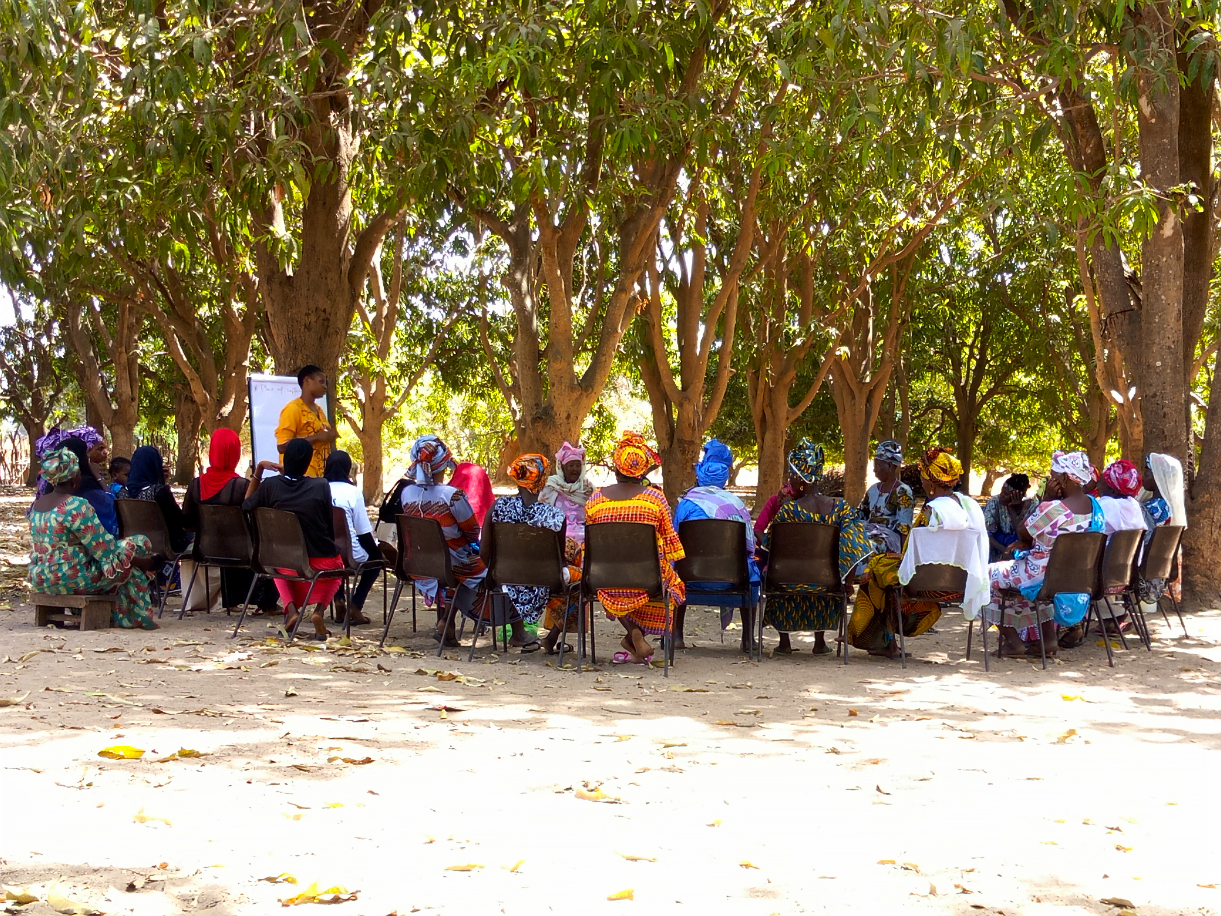 Women sit in plastic chairs in a circle under the trees, while one woman stands taking notes on a large notebook.
