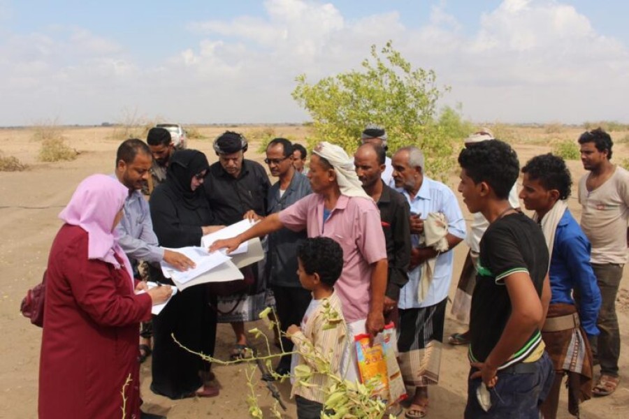 A group os people stand in a desert looking at papers.