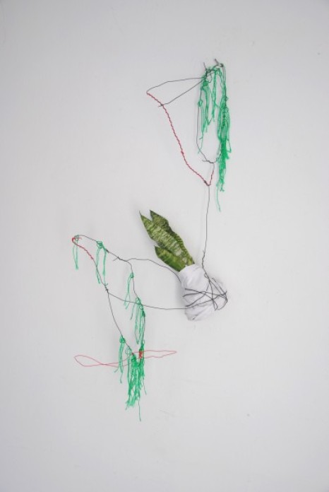 Installation view of a sculpture, with a plant in the middle wrapped in a white fabric and suspended on the wall with wire and green thread.