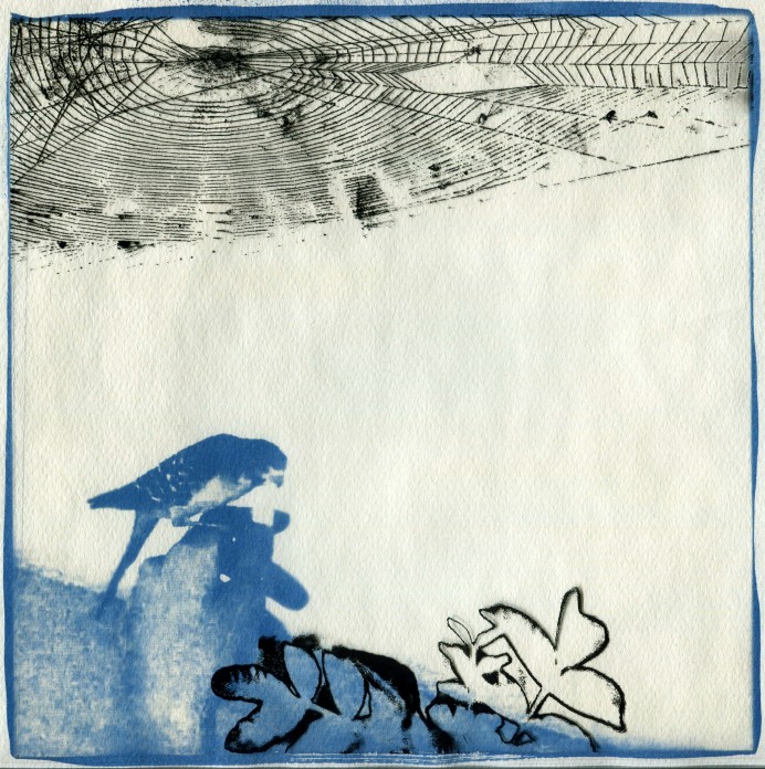 Wide Awake - Siryne Eloued - Ondulación