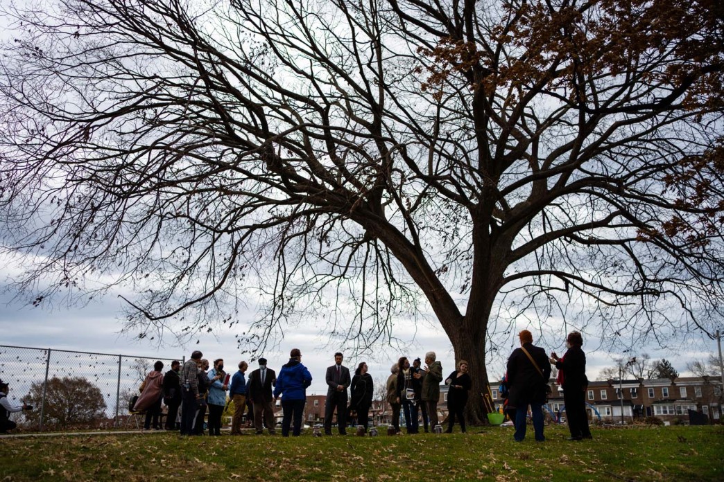 A group of about 15 to 20 people gather outside at near a tree,
