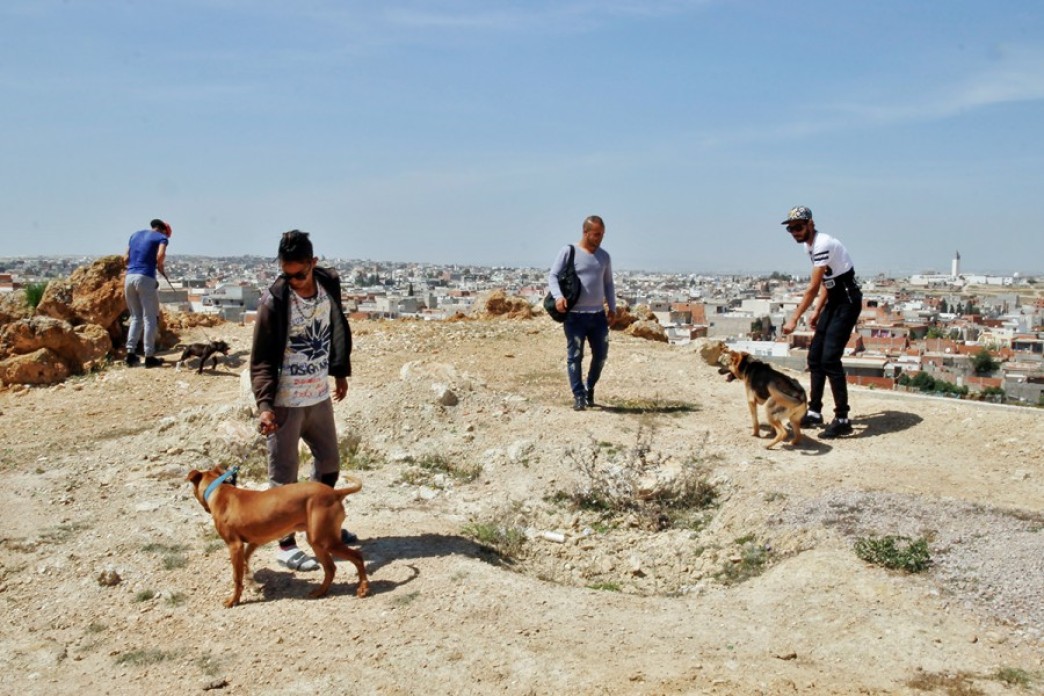 Four men and three dogs on leashes stand on top of a dirt hill overlooking the city behind them.