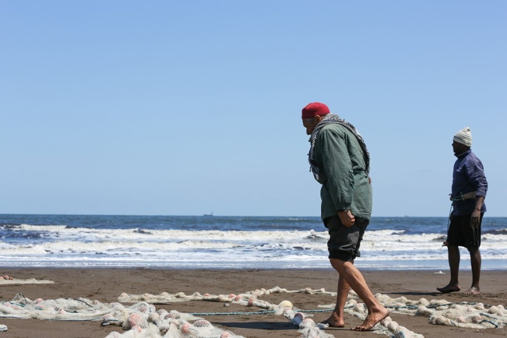 At low tide, fishermen desperately search their empty nets for fish.